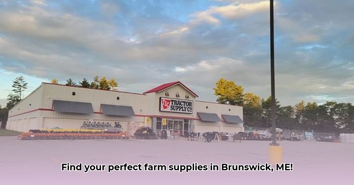 tractor-supply-company-brunswick-maine